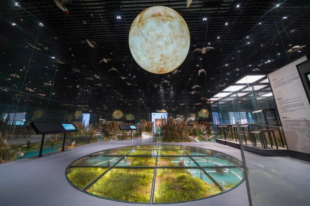 威尼斯9499登录入口(中国)有限公司官网